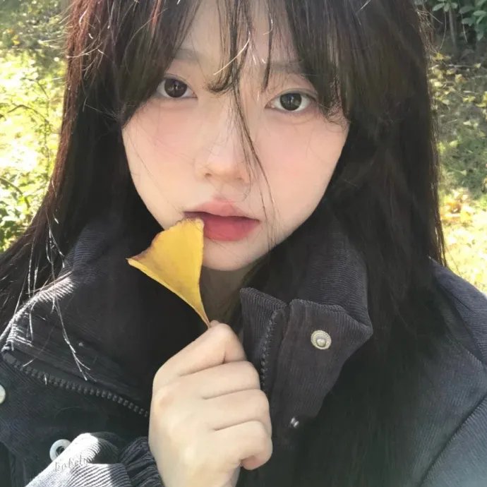 艾米·舒默皮革特辑
